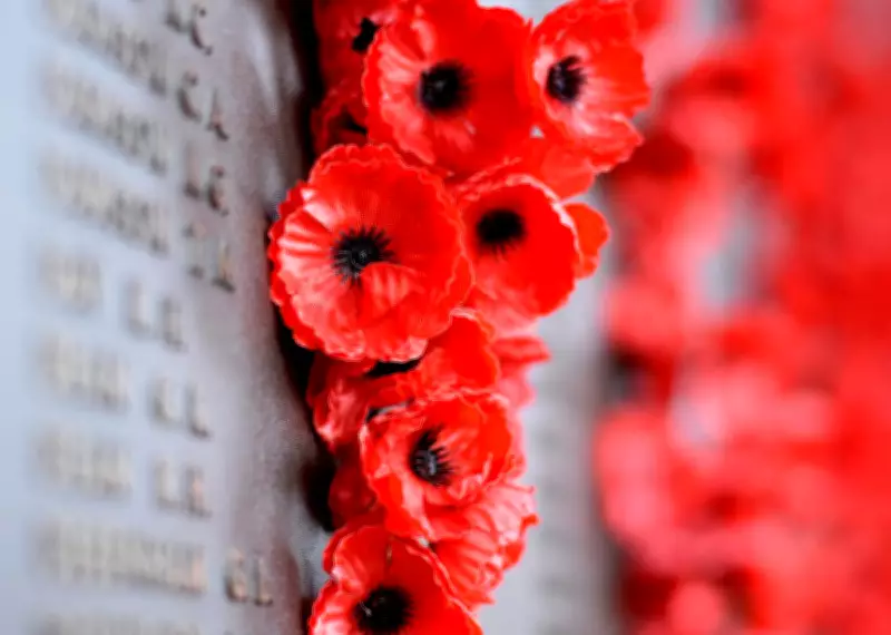 Andrew Miller: Pointless Deaths of Young in Conflict Must Be Banished Like Smallpox