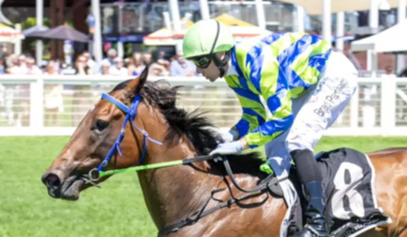 Aurum Belle Poised to Prove Karrakatta Plate Favourite Status in Gimcrack Stakes