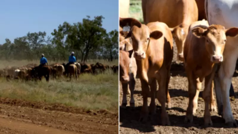 Australian Cattle Giant NAPCo Redefines Sustainable Farming Practices