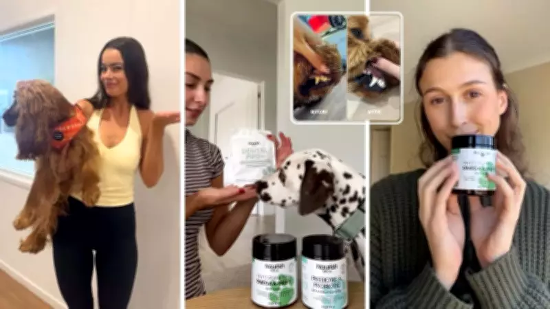 Australian Pet Wellness Bundle Sells Out Four Times, Tapping Owner Demand