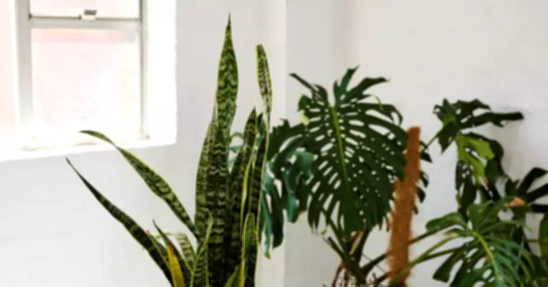 Australian Plastic Waste Transformed into Durable Furniture