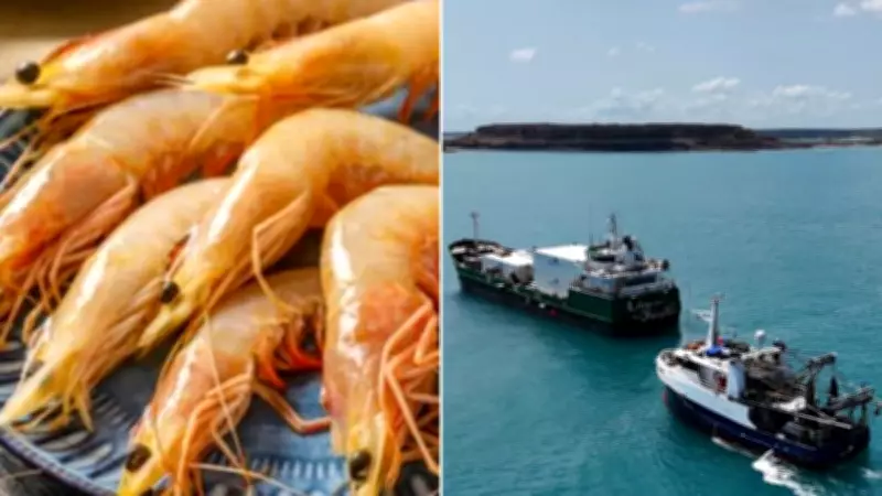 Australian Seafood Giant Raptis Collapses, Over 200 Jobs at Risk Before Easter
