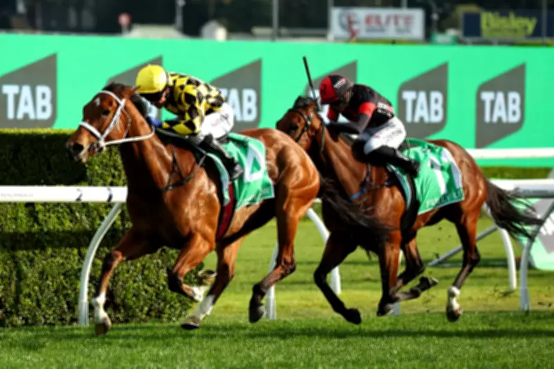 Autumn Glow and Pride of Jenni Avoid Weekend Clash, Match Race Speculation Grows