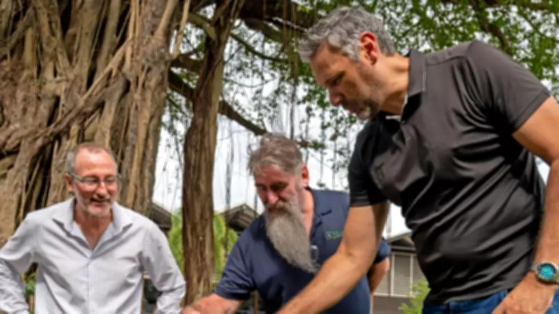 Cairns Declared Free of Yellow Crazy Ants After Successful Eradication Program