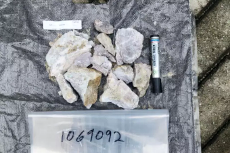 Chariot Resources Confirms High-Grade Spodumene at Nigerian Lithium Projects