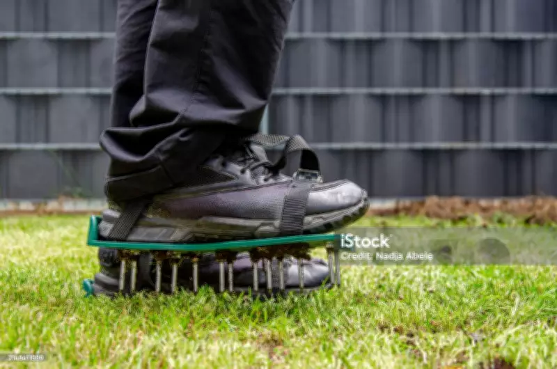 Charlie Albone's Guide: Preparing Your Lawn for the Winter Season