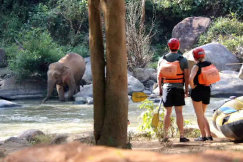Chiang Mai Guide: Temples, Waterfalls, Coffee, and Rafting in Northern Thailand