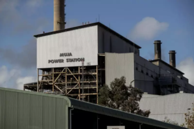 Collie's Premier Coal Rumored to Slash Dozens of Jobs at Simone Grogan Site