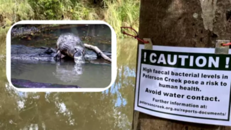 Community Groups Rally to Save Cairns Creek from Invasive Plant Species