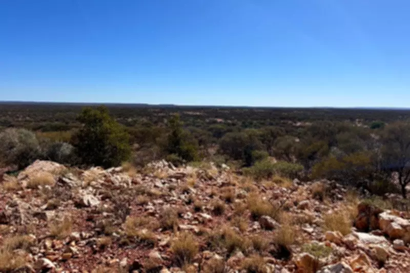 Corazon Mining Uncovers Major 3.5km Gold Anomaly in WA's Eastern Gascoyne