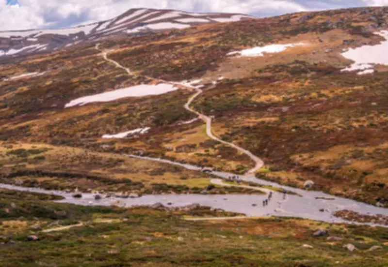 Cyclist Rescued After Four Hours in Freezing River Using PLB