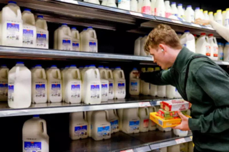 Dairy Farmers Demand $2 Milk Price Amid Diesel Crisis Threatening Food Supply