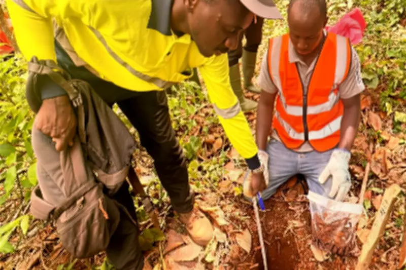 Dalaroo Metals Launches Major Gold Soil Sampling Campaign in West Africa