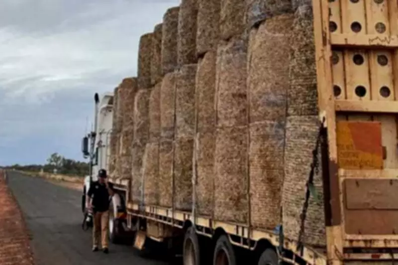 Diesel Theft Surge in Queensland Prompts Police Crackdown