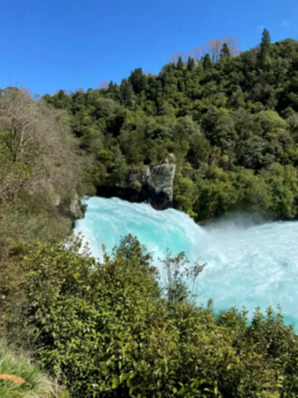 Discover New Zealand's North Island: 7 Unforgettable Spring Experiences