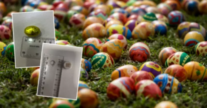 Easter Egg Hunt Chocolate Recalled After Plastic Found in Port Stephens