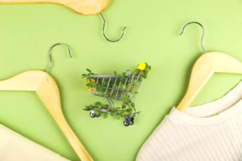 Easy Ways to Make Your Home More Sustainable Without Breaking the Bank