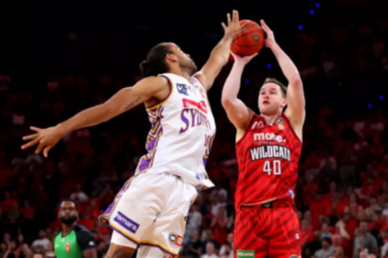 Elijah Pepper to Become NBL Point Guard After New Wildcats Contract