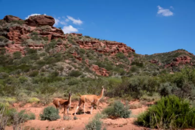 Explore Argentina's Hidden Gem: Sierra de las Quijadas National Park