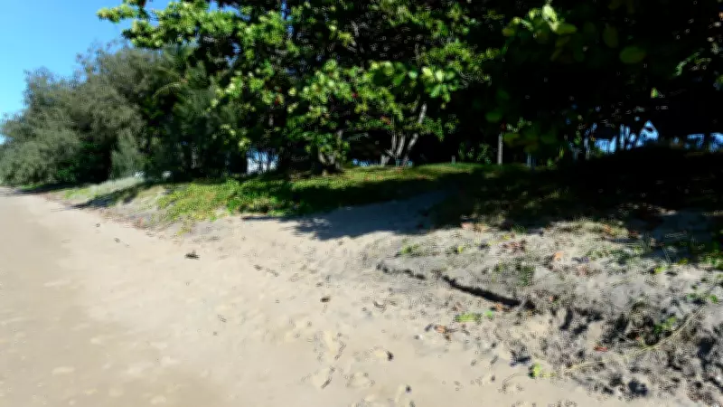 Families Demand Stinger Net at Saunders Beach Over Crocodile and Jellyfish Fears