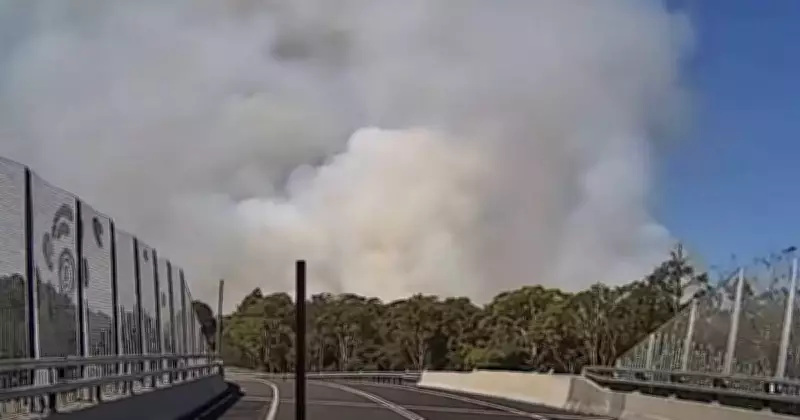 Firefighters Battle Bush Blaze at Tomago, 30 Personnel Deployed