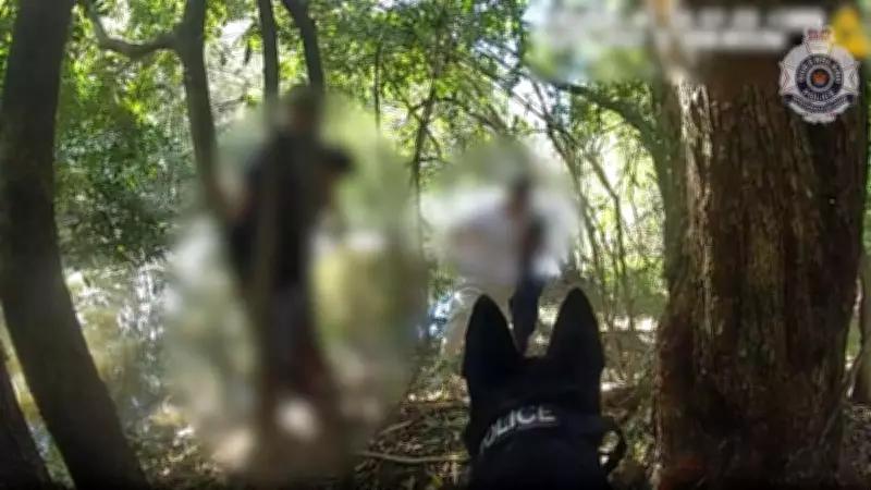 Five Teens Arrested After Alleged Home Invasion and Carjacking Spree Across Queensland