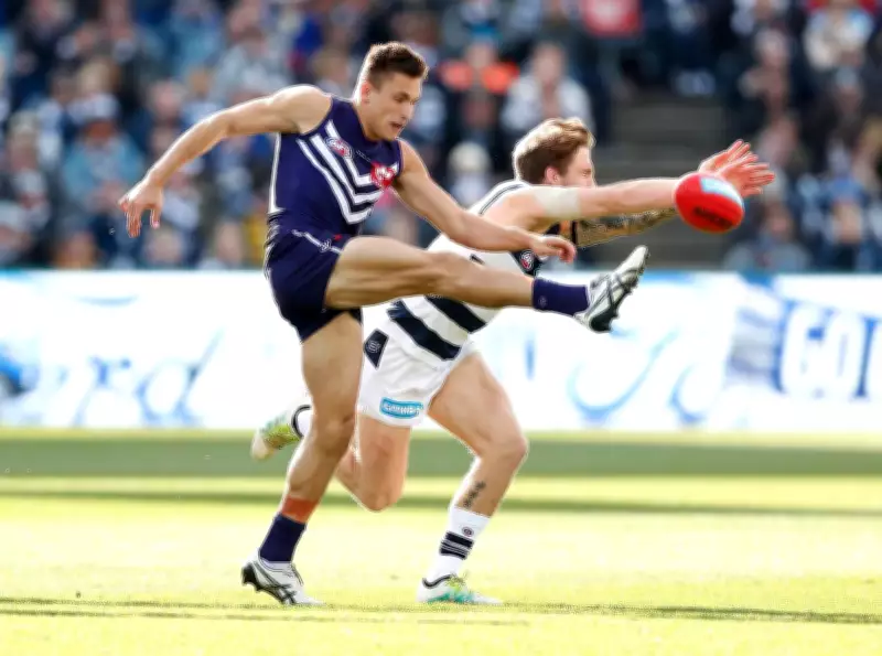 Former AFL Forward Josh Deluca Joins North Beach Tigers for 2026 Season