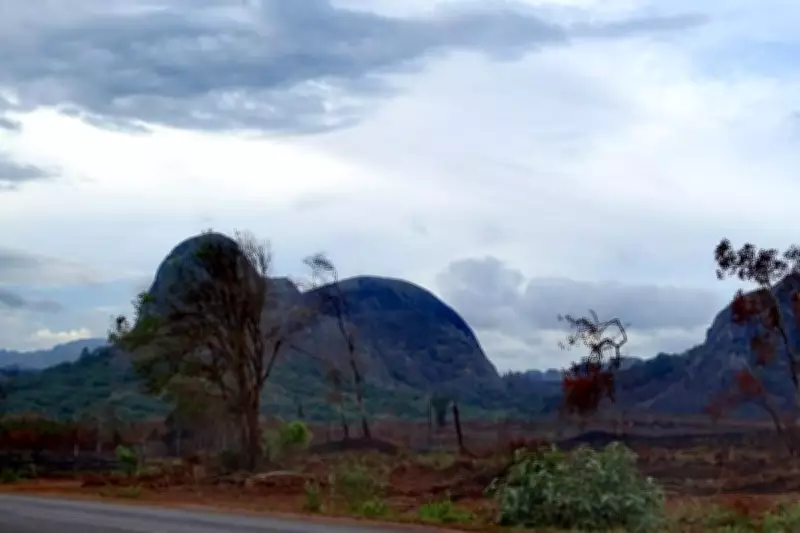 Forrestania Strikes Near-Surface Niobium in Malawi's First-Ever Drill Campaign