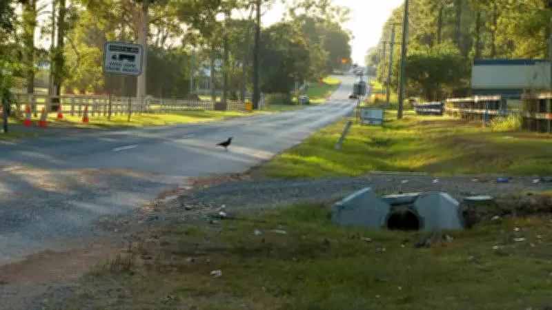 Four Fatalities in Queensland Easter Road Crashes, Police Urge Caution