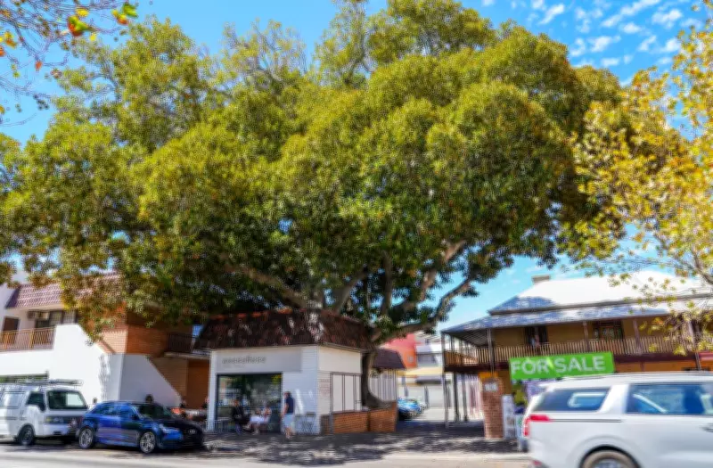 Fremantle Council Reviews Tree Policy After Public Backlash