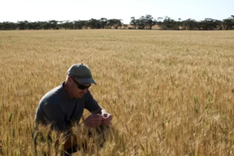 From Paddock to Powerhouse: Celebrating South Australia's Agricultural Towns