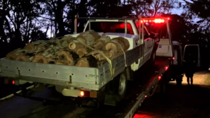 Geelong Man Fined for Illegal Tree Felling in Otway Forest