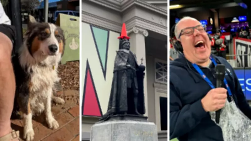 Geelong's Dog Drama: Orange Alert Sparks Community Concern and Comparisons