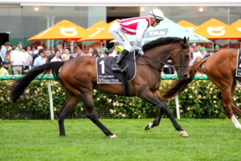 Getta Good Feeling Chases Oaks Redemption in $1M Australasian Oaks