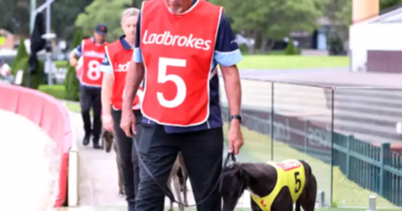 Greyhound Racing NSW Boosts Travel Subsidies by 66% Amid Fuel Price Surge