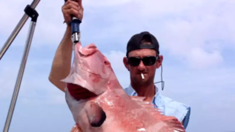 Grieving Father with 17kg Cannabis Stash Avoids Jail, Gets Final Warning