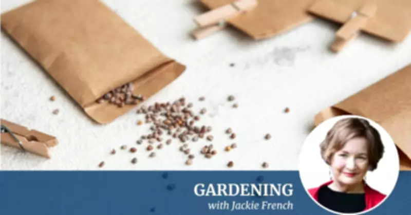 Grow More for Less: The Case for Seeds, Cuttings and Compost