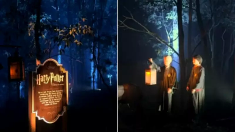 Harry Potter Forest Experience Sparks Wildlife Concerns in Perth