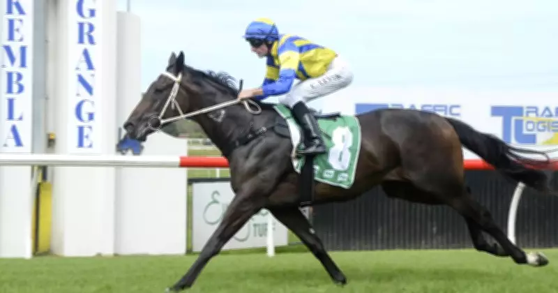 Hawkesbury Wednesday Racing Tips: Strawberry Impact Primed for Breakthrough Win