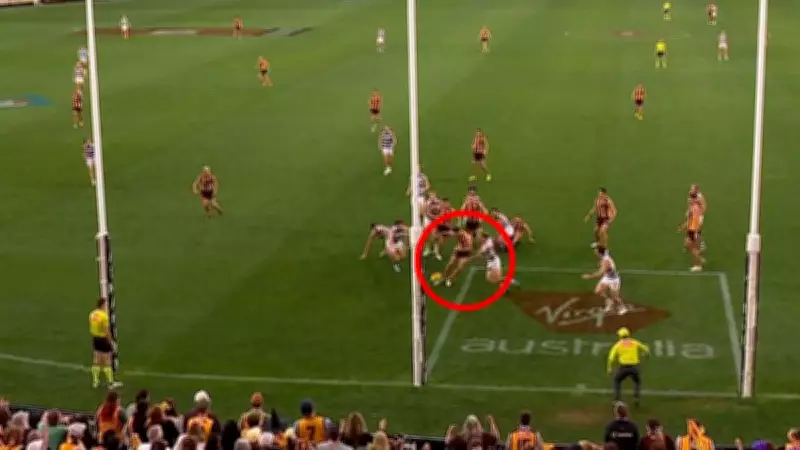 Hawthorn Snatch Dramatic One-Point Victory Over Geelong in Easter Monday Thriller