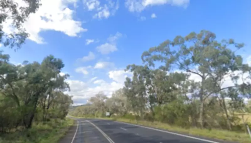 Hundreds of Sheep Perish in NSW Highway Truck Crash, Driver Injured