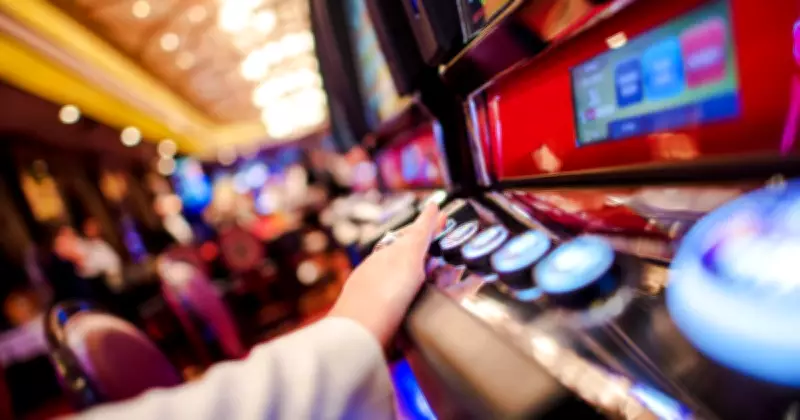 Hunter Gamblers Lose $660 Million Annually as Reforms Fail to Curb Losses