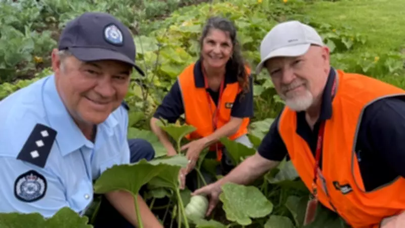 Inmates Cultivate Hope: Prison Garden Feeds Struggling Families