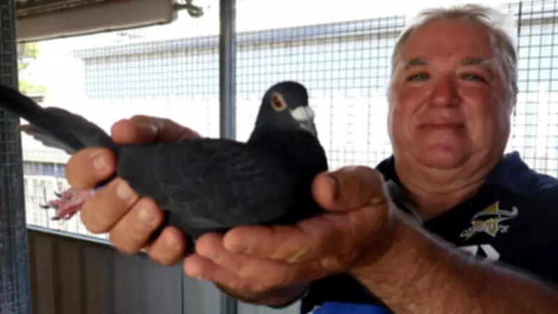 Inside Townsville's Pigeon Racing Scene: A Thriving Community Sport