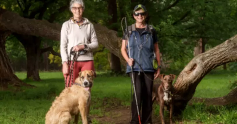 Jo Weir Discovers Perfect Companion Through Canberra's Animal Services