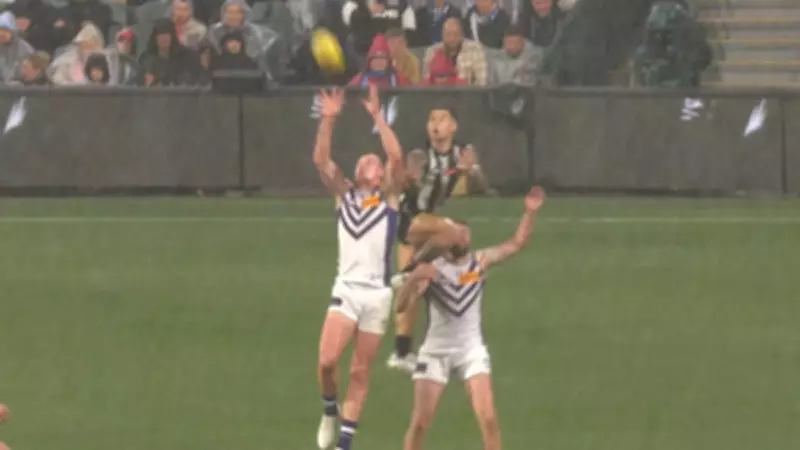 Josh Treacy's Heroic Mark Secures Fremantle's Thrilling Gather Round Victory Over Collingwood