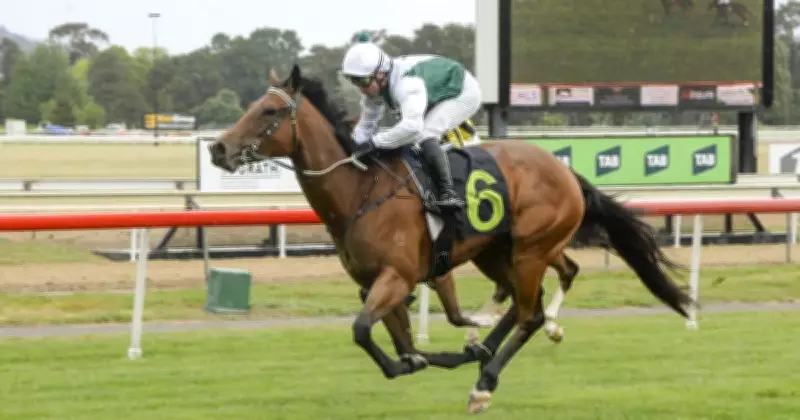 Kembla Grange tips: Beauty Swift and Glastonbury Girl set for Wednesday