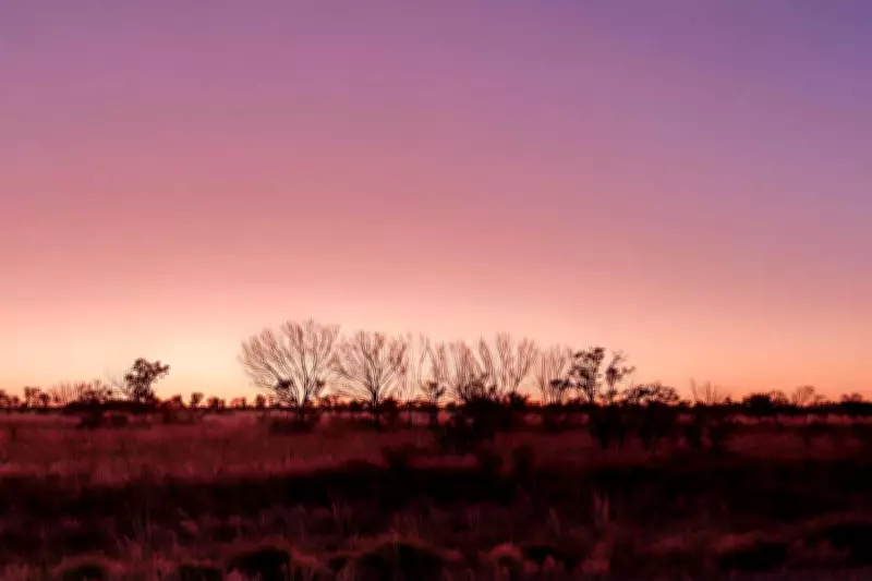 Litchfield Minerals Completes Drilling at Oonagalabi, Eyes Silver Valley Potential