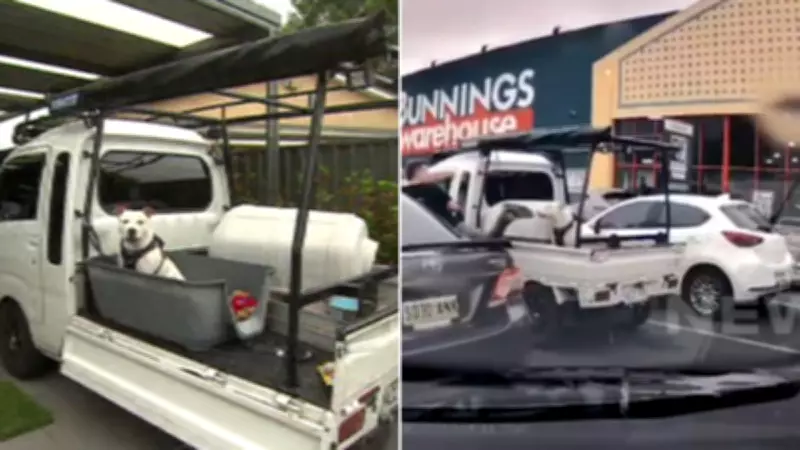 Man Accused of Kicking Dog Claims Self-Defence in Adelaide Bunnings Incident