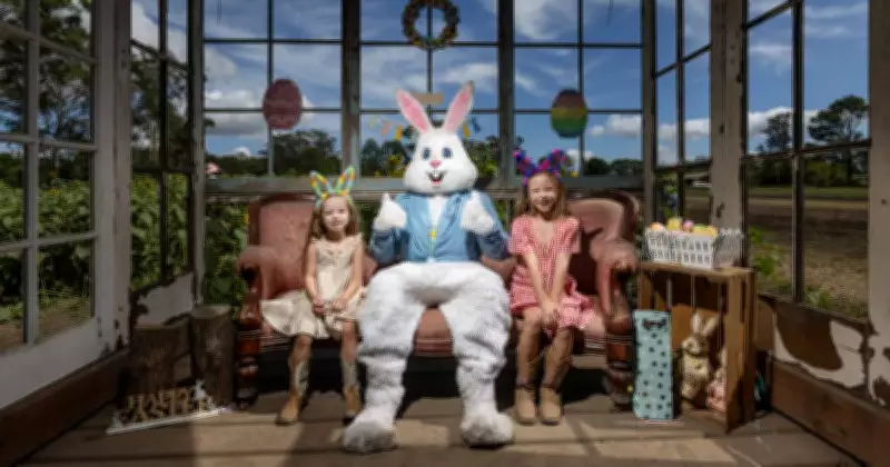 Medowie Farm's Little Tin Shed Thrives Amid Hot Easter Friday Conditions